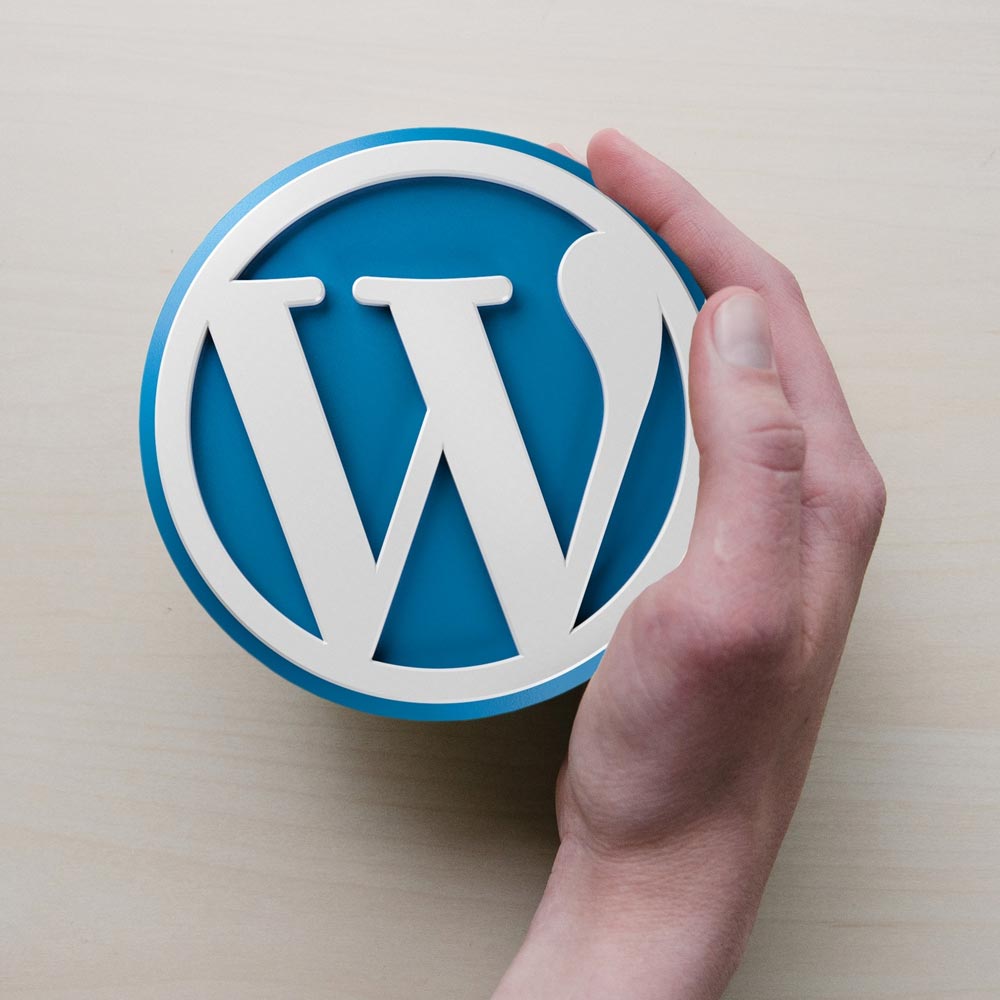 Wordpress logo in hands